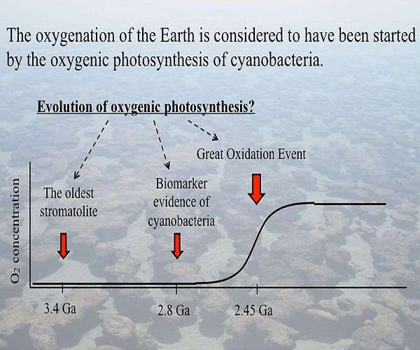 Seafloor fertilizer factory helped breathe life into Earth