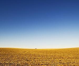 Sustaining The Biodiversity Of The Western Great Plains