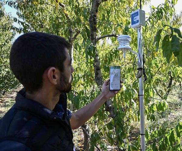 'Keeping it fresh': Greek growers use nature to clean crops