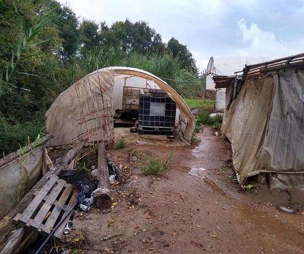 Experts tackle modern slavery in Greek strawberry fields using satellite technology