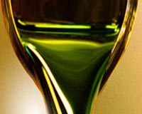 President Obama, USDOE And USDA See Green Value In Sapphire Energy