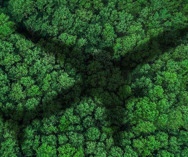 European airlines drop vague promises on carbon offsets