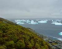Antarctica 'greening' due to climate change
