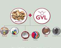 Triple play boosting value of renewable fuel could tip market in favor of biomass