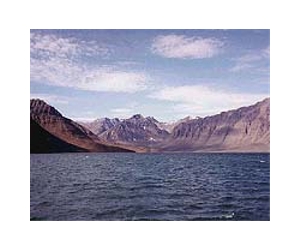 Whales Help Researchers Take Winter Temperature Of Greenland Coastal Waters