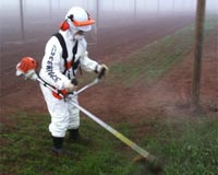 Nobel winners slam Greenpeace on GMO crops