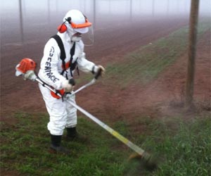 Europe's anti-GM nations warned against unilateral action