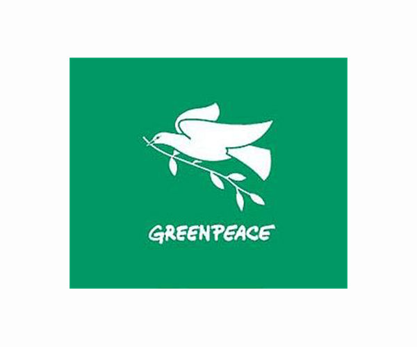 Germany taps Greenpeace chief Morgan as first climate envoy