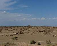 Anthropogenic groundwater extraction impacts climate