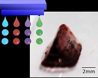 Growing organs a few ink drops at a time