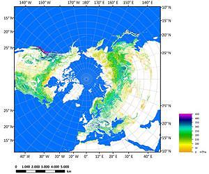 Earth's northern biomass mapped and measured