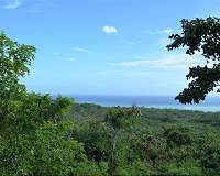 New study shows vegetation controls the future of the water cycle