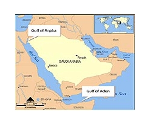Saudis deny discussing pressure on China over Iran with US