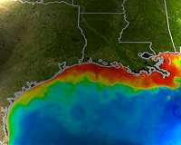 Gulf of Mexico 'dead zone' forecasted to exceed the size of Connecticut