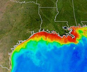 Forecasters predict second-smallest Gulf of Mexico 'dead zone'