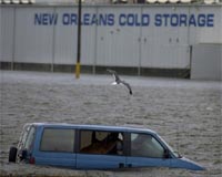 6-10 bln dlrs insured losses from Gustav: expert