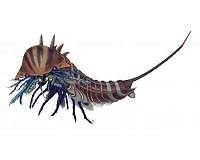 A 508-million-year-old sea predator with a 'jackknife' head