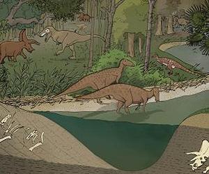 Using Discards, Scientists Discover Different Dinosaurs Stomping Grounds