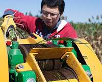 Dual-purpose biofuel crops could extend production, increase profits