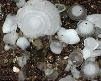 Sydney pummelled by hail the size of tennis balls