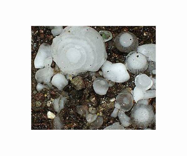 Hail smashes plane as thunderstorms lash Austria