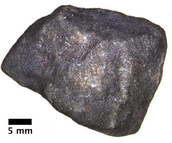 Fireball meteorite contains pristine extraterrestrial organic compounds
