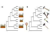Redesigned Hammer That Forged Evolution Of Pregnancy In Mammals