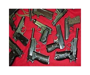 Americans back guns, even after shootings: poll