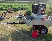 EU parliament urges limited approval for weedkiller