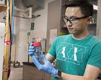 For platinum catalysts, tiny squeeze gives big boost in performance