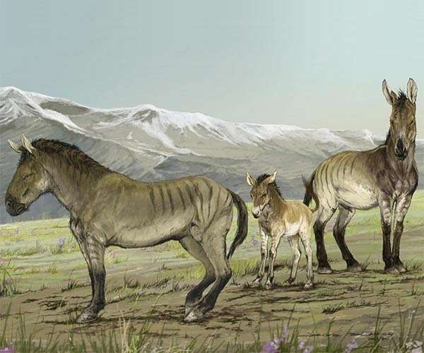 Origins of domesticated horses traced to north Caucasus region, study finds