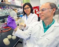 Sweet Smell of Success: Researchers Boost Methyl Ketone Production