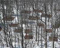 Carbon feedback from forest soils will accelerate global warming