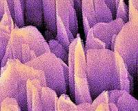 Not too wet, not too dry: plasma-treated fuel cell gets it just right