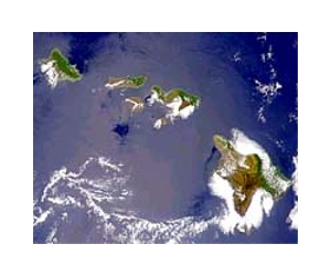 Documented decrease in frequency of Hawaii's northeast trade winds