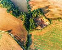 Can the 'greening' be greener?