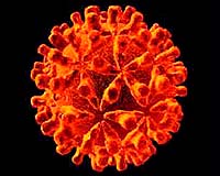 China to stop mandatory hepatitis B tests: state media