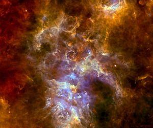 The delicate balance of star formation in the Carina Nebula