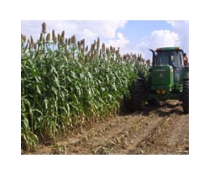 Zero Discharge Sweet Sorghum Ethanol Process Development