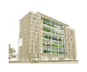 Taiwan to spend 100 million dollars on 'green' architecture
