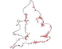 Floods and coastal erosion may expose contents of UK landfills, study finds