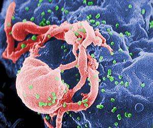 HIV regimen prevents infection among drug users