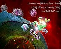 Scientists zoom in on AIDS virus hideout