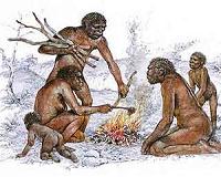 Early humans revealed to have engineered optimized stone tools at Olduvai Gorge