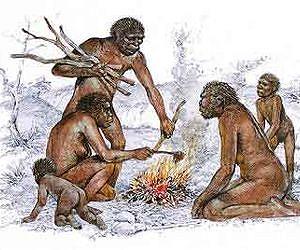 1.8-million-year-old skull find creates debate over human origins