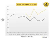 Nation's beekeepers lost 44 percent of bees in 2015-16