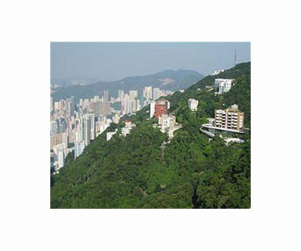 Hong Kong's urban farms sprout gardens in the sky
