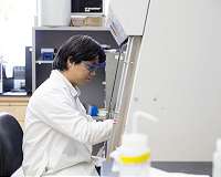 Termite gut holds a secret to breaking down plant biomass