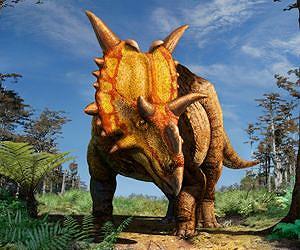 Meet Xenoceratops: Canada's newest horned dinosaur