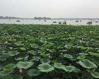 China is hot spot of ground-level ozone pollution